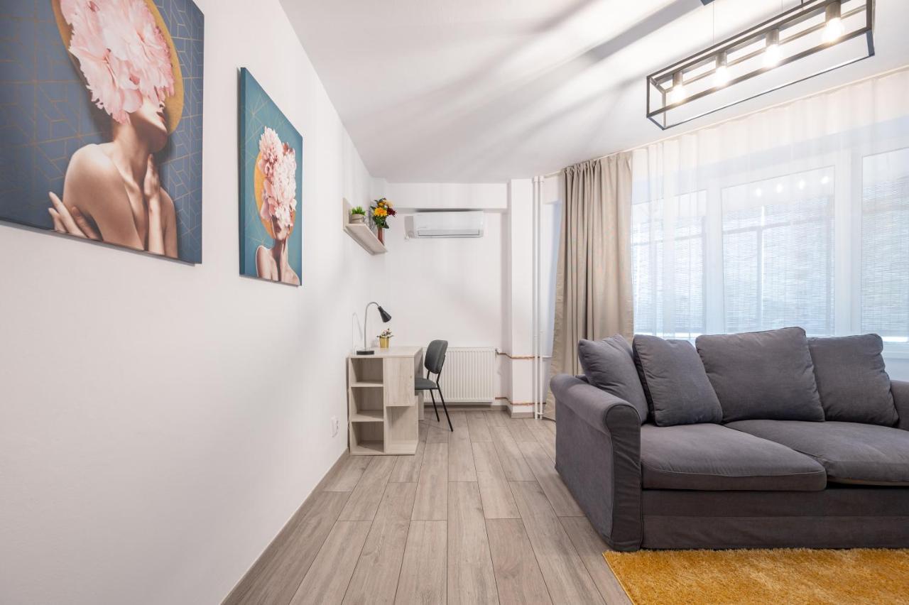 Costaforu Flat Oradea